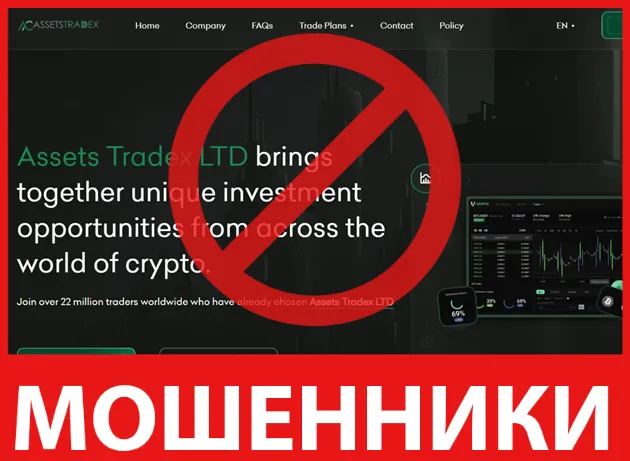 Assets Tradex лицевая сторона скрин