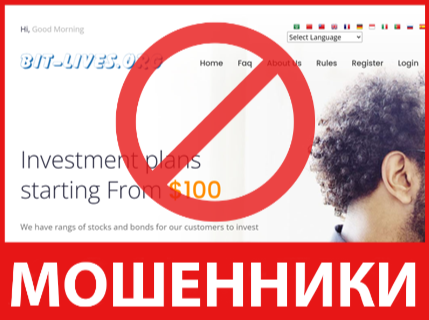 BITS LIVE лицевая сторона скрин