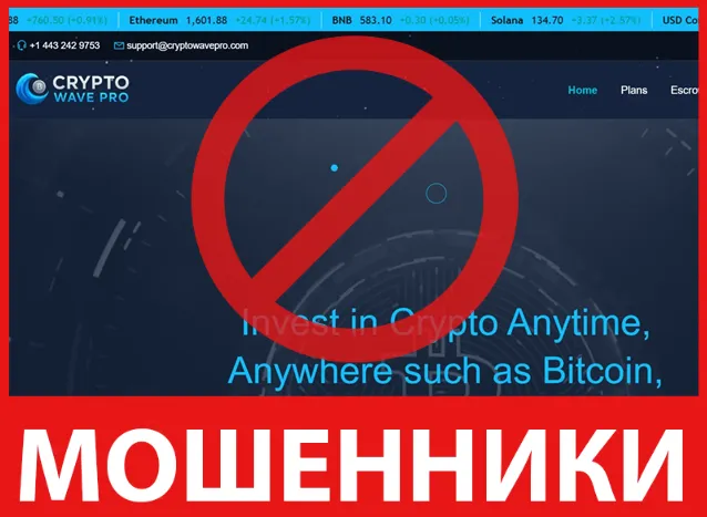 Crypto Wave Pro лицевая сторона скрин