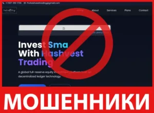 Hashvest Trading лицевая сторона скрин