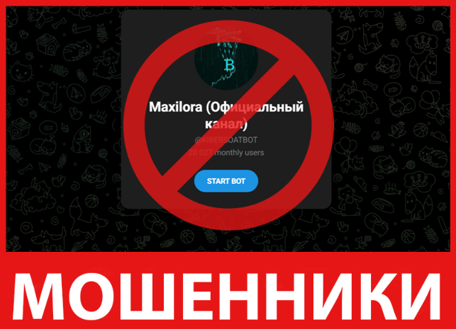 Maxilora лицевая сторона скрин