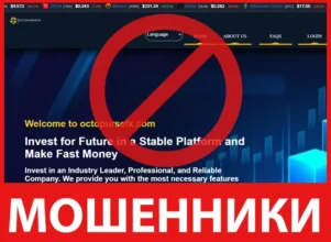 Octopursefx лицевая сторона скрин