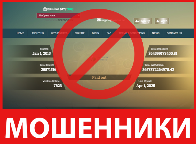 Qoadins лицевая сторона скрин