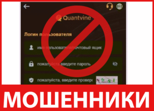 Quantvinesee лицевая сторона скрин