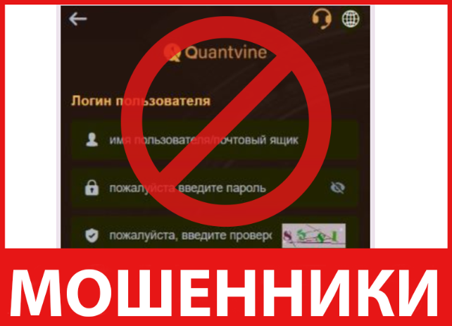 Quantvinesee лицевая сторона скрин