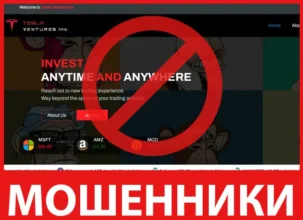 Tesla Ventures Inc лицевая сторона скрин