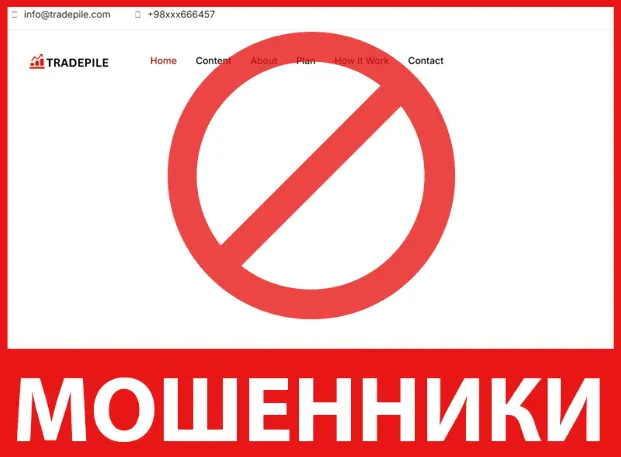 Tradepile лицевая сторона скрин