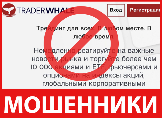 Trader Whale лицевая сторона скрин