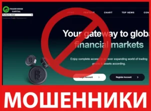 Tradeverse Capital лицевая сторона скрин