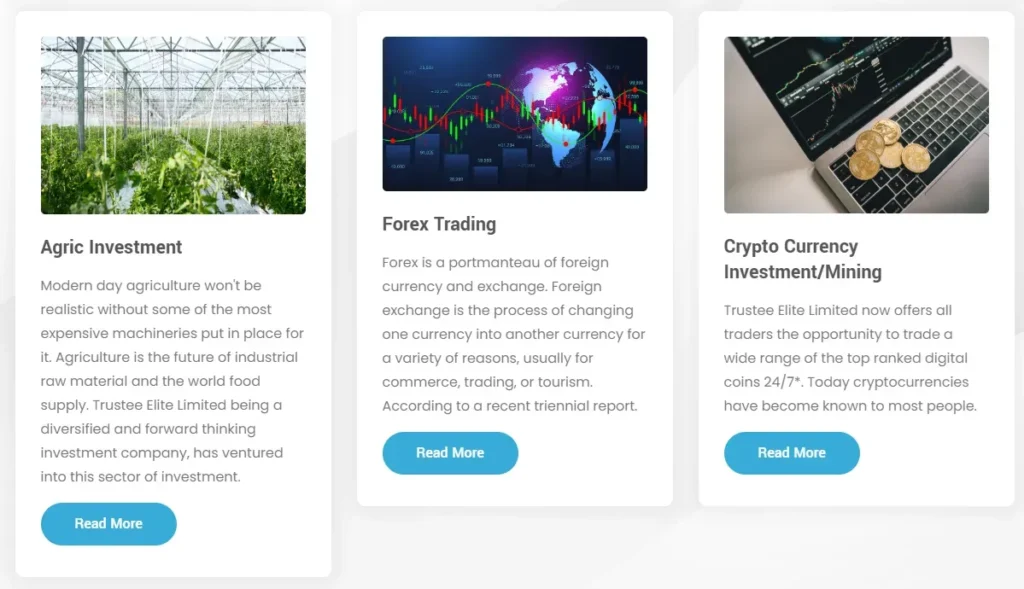 Trustee Elite Limited 1 скрин