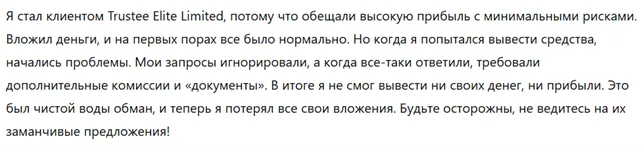 Trustee Elite Limited 3 скрин