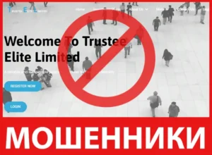Trustee Elite Limited лицевая сторона скрин
