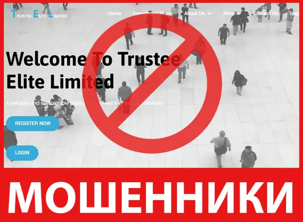 Trustee Elite Limited лицевая сторона скрин