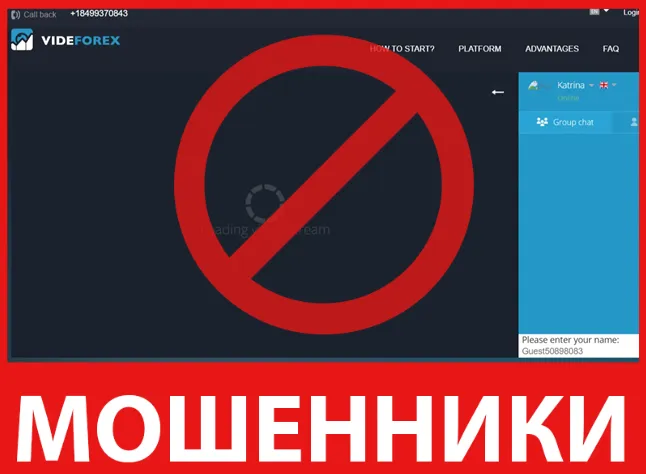 Videforex лицевая сторона скрин