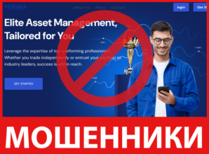 Voyager Capitals лицевая сторона скрин