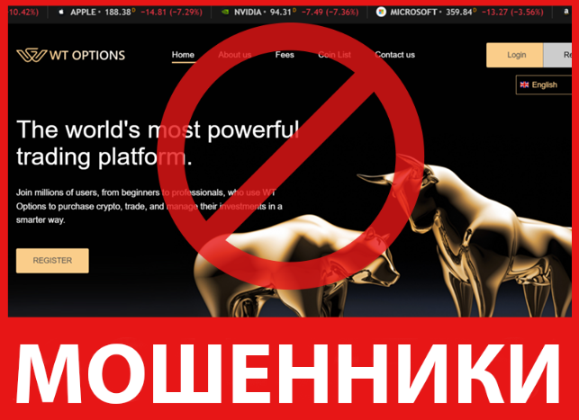 WT Options лицевая сторона скрин