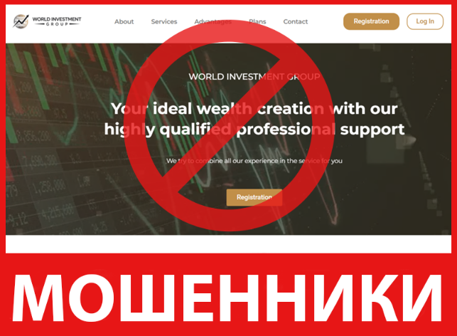 World Investment Group лицевая сторона скрин