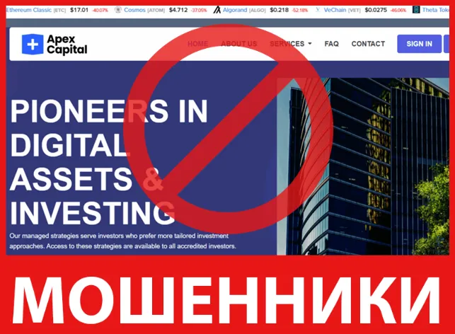 Apex Capital Hub лицевая сторона скрин