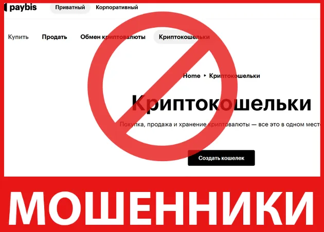 Paybis лицевая сторона скрин