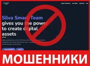 Silva Smart Team лицевая сторона скрин