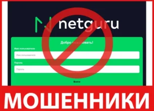 Netguruhoe лицевая сторона скрин