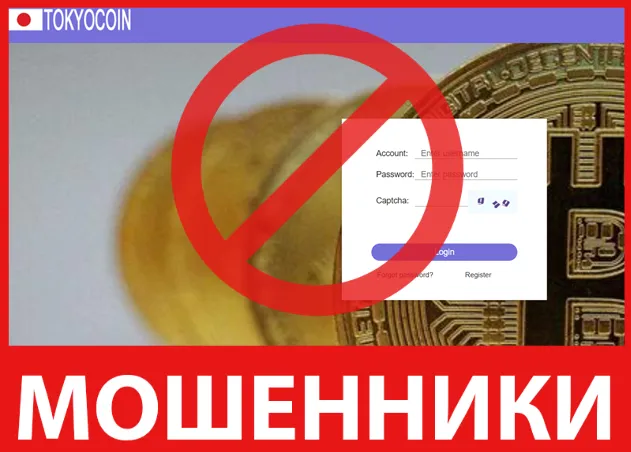 Tokyocoin лицевая сторона скрин