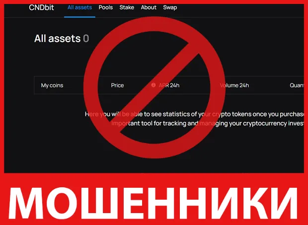 CNDbit лицевая сторона скрин