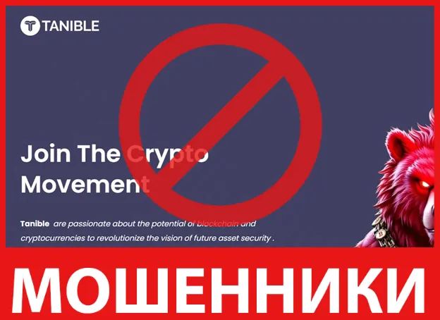 Tanible лицевая сторона скрин