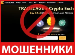 TRADECAGE лицевая сторона скрин