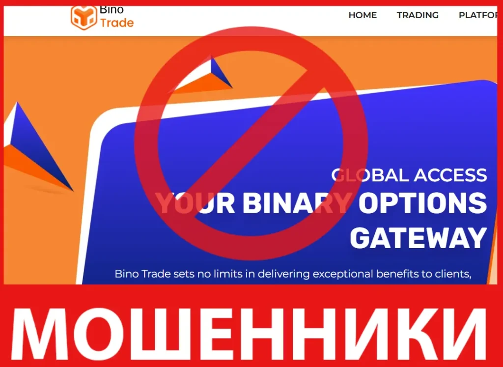 Binoup лицевая сторона скрин