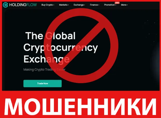 Holdingflow лицевая сторона скрин