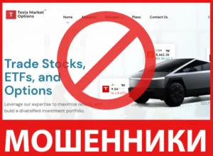 TeslaMarketOptions лицевая сторона скрин