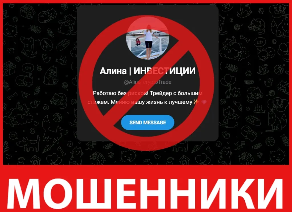 Алина ИНВЕСТИЦИИ лицевая сторона скрин