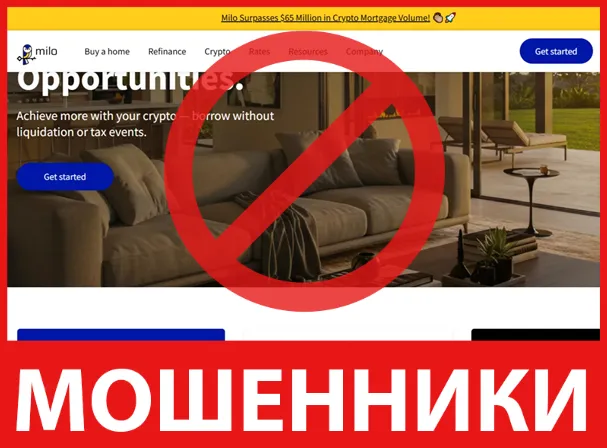 Milo лицевая сторона скрин