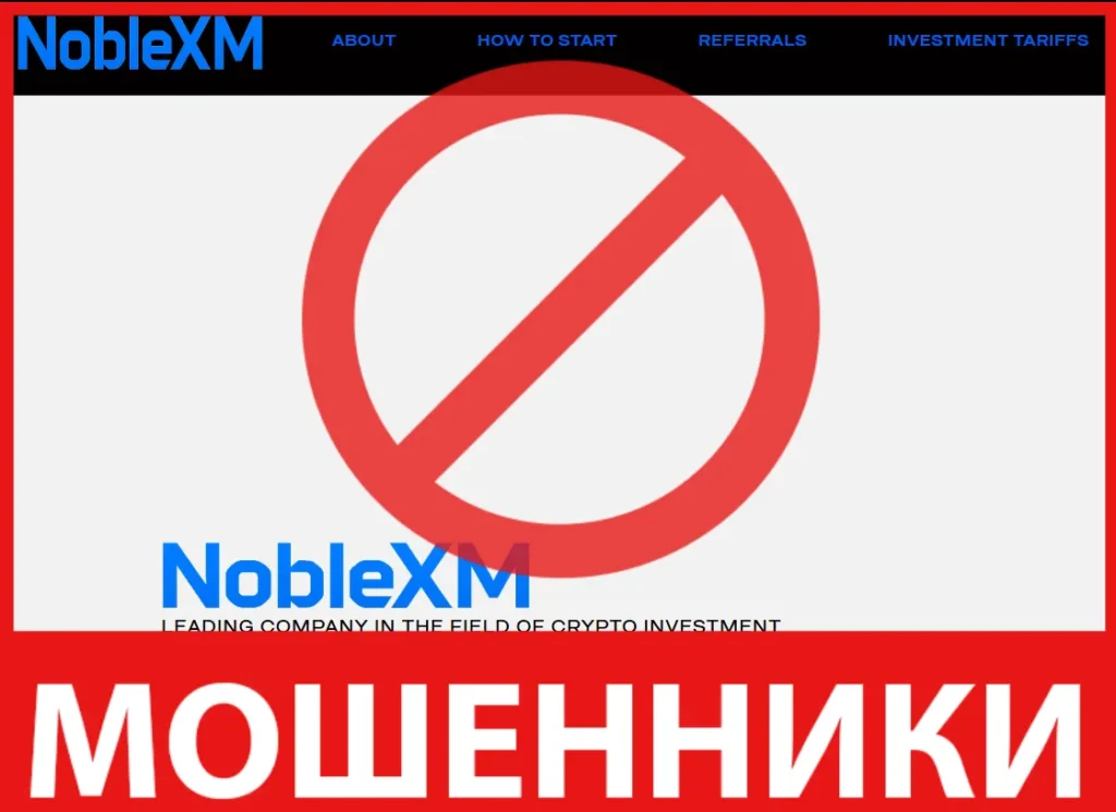 NobleXM лицевая сторона скрин