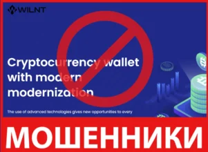 Wilnt лицевая сторона скрин