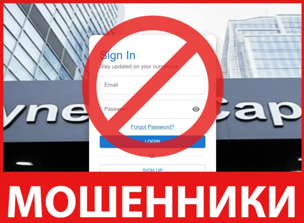 Zynexis Capital лицевая сторона скрин