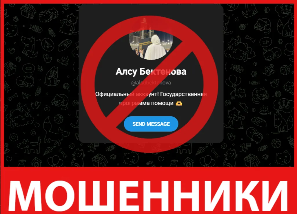 Алсу Бектенова HALAL лицевая сторона скрин