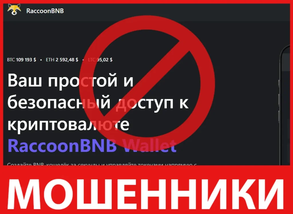 RaccoonBNB лицевая сторона скрин