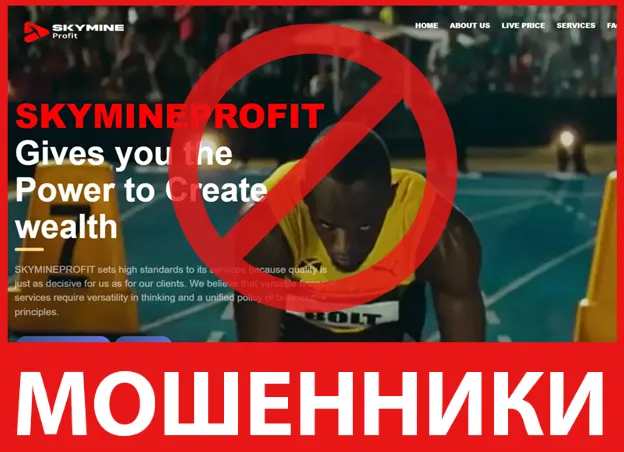 SKYMINEPROFIT лицевая сторона скрин