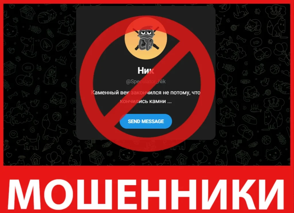 Speculator Nik лицевая сторона скрин