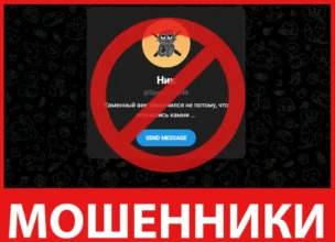 Speculator Nik лицевая сторона скрин