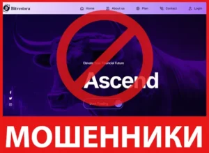Bitvestora лицевая сторона скрин