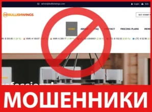 Bullishwings лицевая сторона скрин