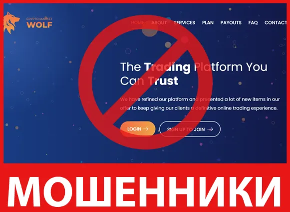 Crypto Market Wolf лицевая сторона скрин