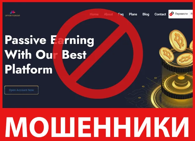 Option FX Group лицевая сторона скрин