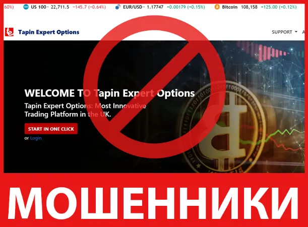 Tapin Expert Options лицевая сторона скрин