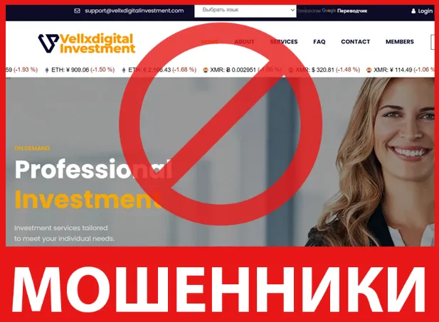 Vellxdigital Investment лицевая сторона скрин
