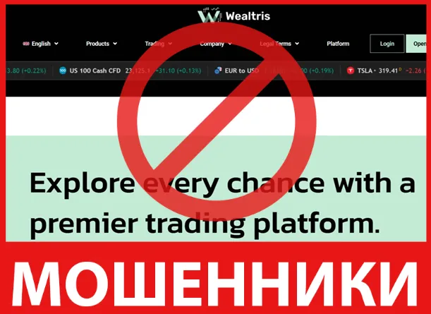 Wealtris лицевая сторона скрин