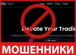 Wellingford Wealth Stratagem лицевая сторона скрин